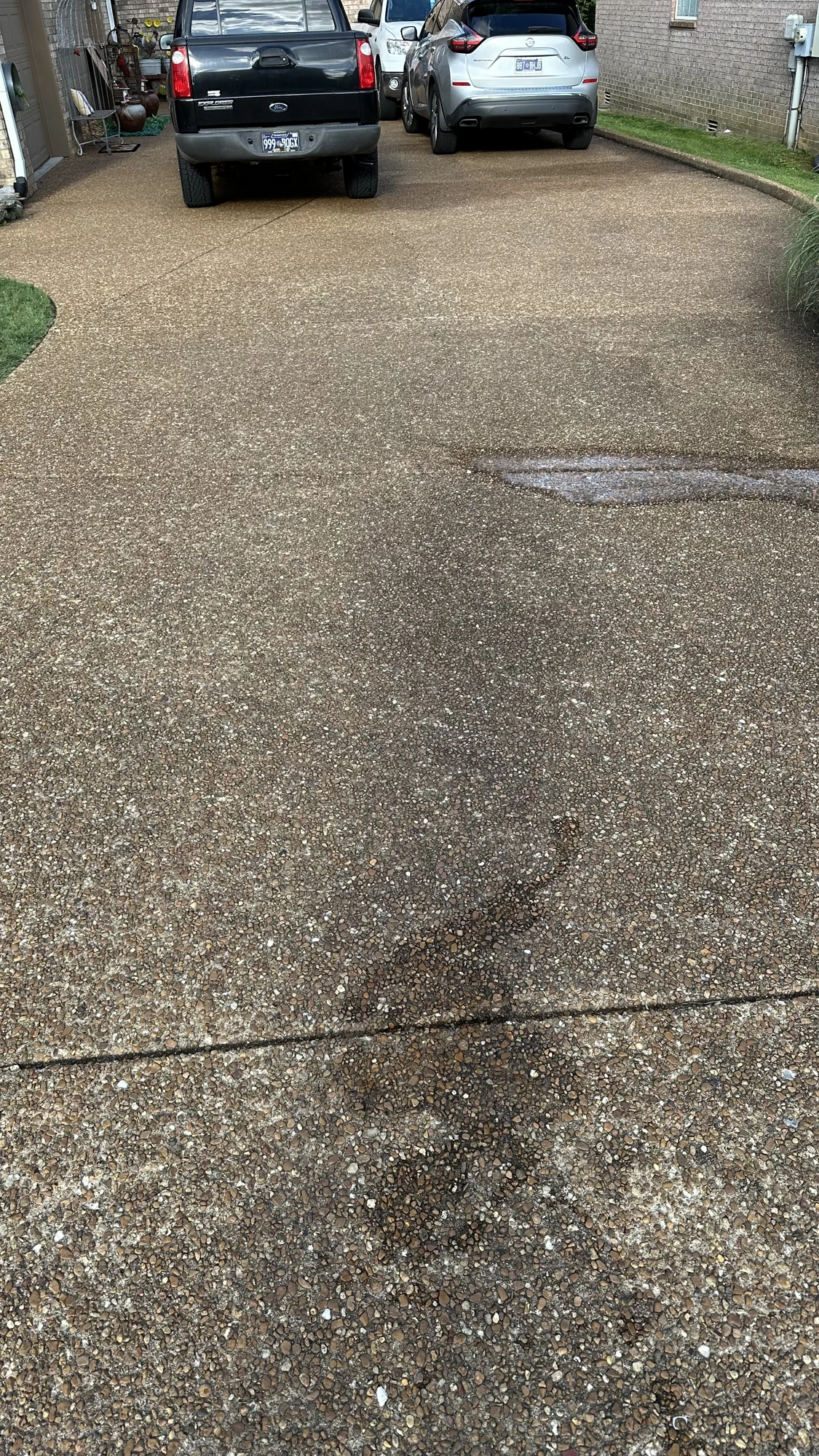 Before — Driveway wash